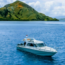 Cabo Pulmo (National Marine Park) 