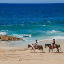 HORSEBACK RIDE BEACH & DESSERT