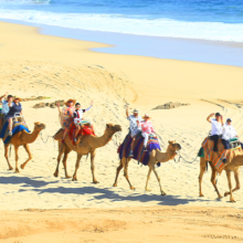 CAMEL RIDE